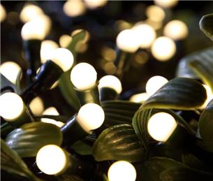 Hail Weston Gardening Group